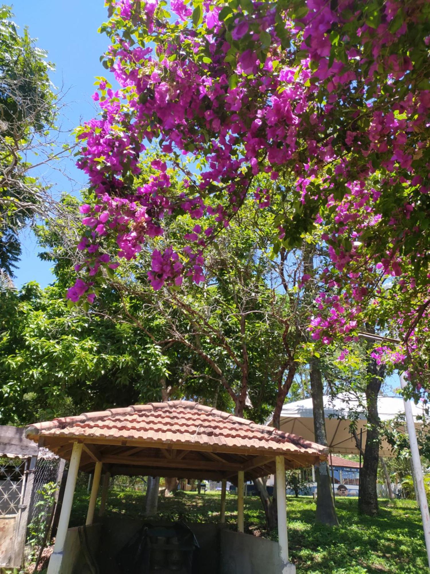 Pousada Sino Dos Ventos Sao Sebastiao do Rio Verde Экстерьер фото